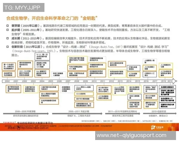 成都排球队状态深度对比分析与未来发展趋势探讨