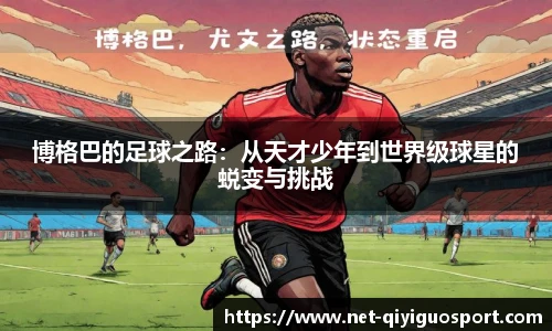 奇异果体育网址