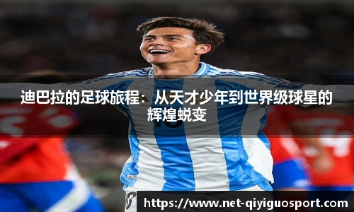 奇异果体育平台