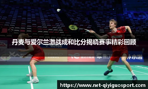 丹麦与爱尔兰激战成和比分揭晓赛事精彩回顾
